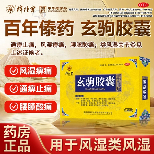 Ziyi Palace Capsule Capsule Rheumatology боль, боль, поясничный и боли в колене ревматоидный артрит GB