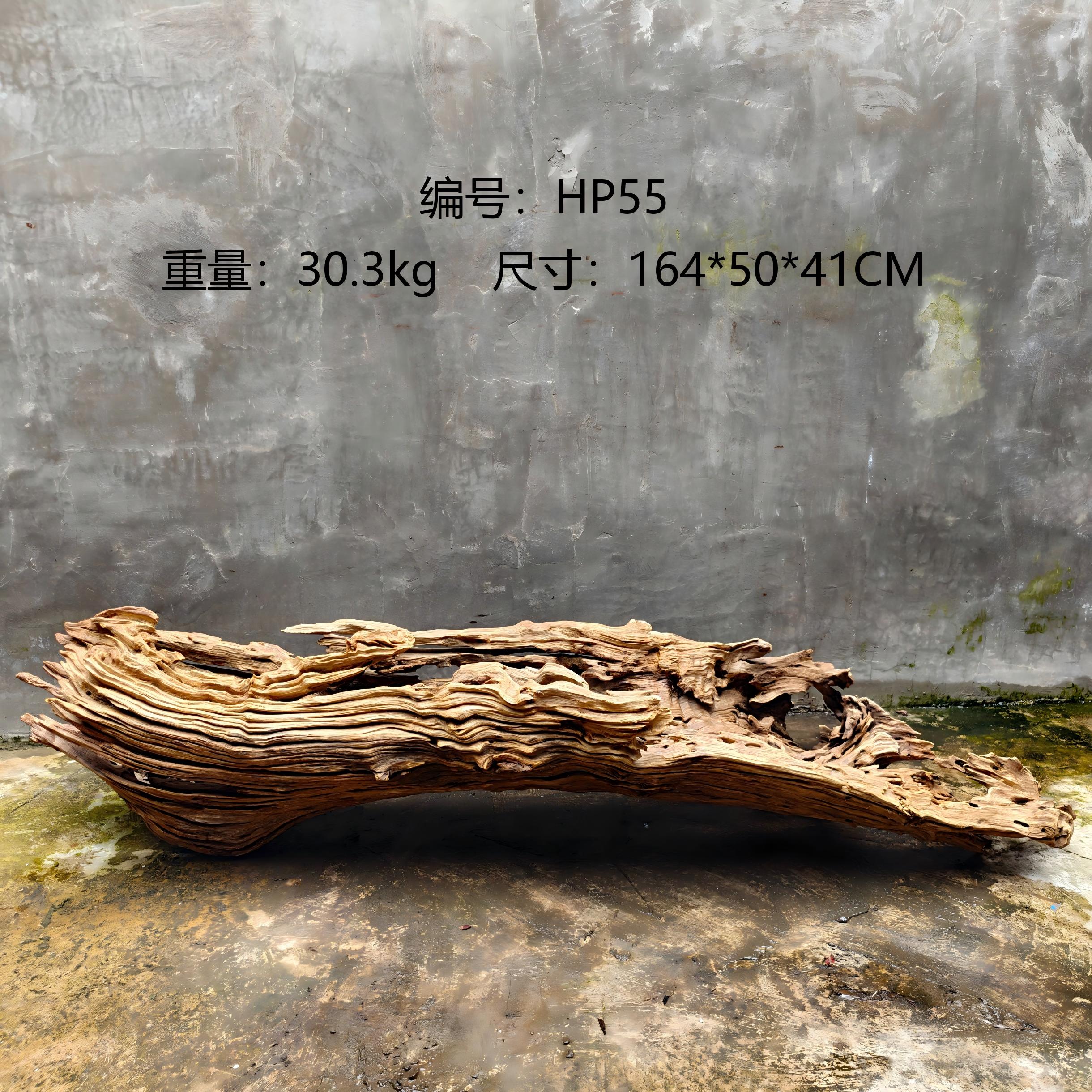 枯木逢春风化木树根根艺根雕花盆