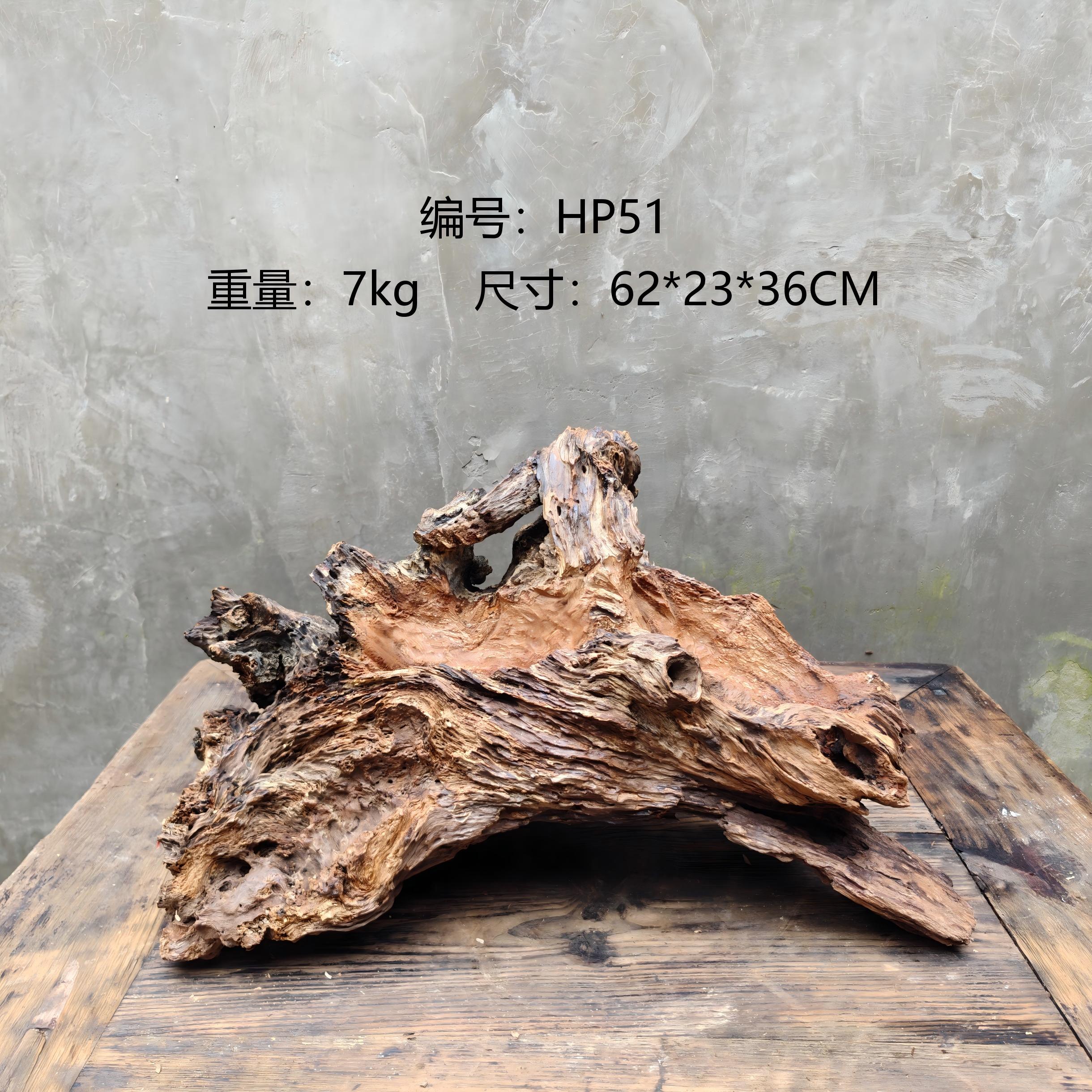 枯木风化木树根根艺花盆绿植景观