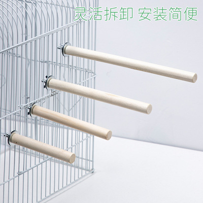 鹦鹉鸟鸟类站棍木制栖息杠磨嘴磨