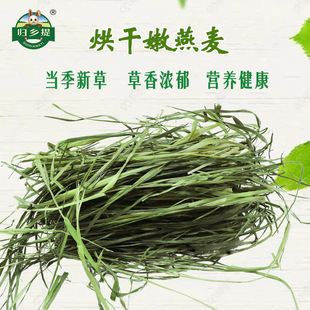 归乡提烘干多叶燕麦草宠物干草龙猫兔子饲料批发幼兔香草小兔子
