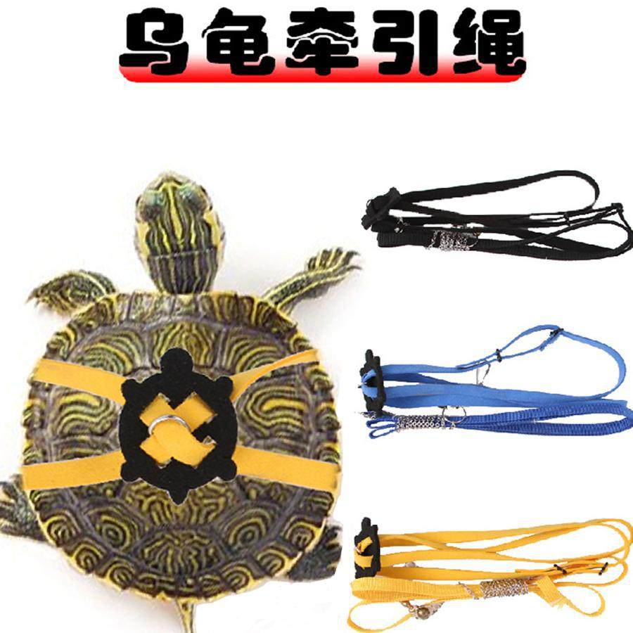 溜龟绳陆龟牵引绳乌龟绳宠物牵引背带可调节背心外出系套绑训练绳,宠物/宠物食品及用品,宠物周边及其他,淘宝优惠券,粉丝福利购,淘宝优惠卷