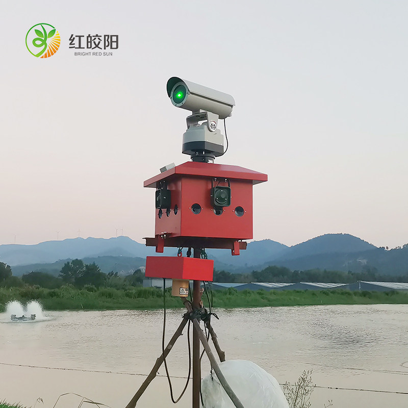 智能1000mw激光语音驱鸟器智能养殖场鱼塘专用超声波驱鸟赶鸟设备