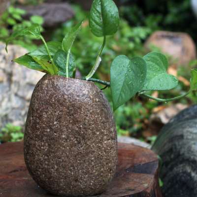 鹅卵石花盆天然石头花瓶插花花器桌面笔筒创意个性富贵竹盆原石