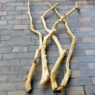 干树枝装饰干枝干花艺术枯枝枯木树天然去皮本色树枝壁挂衣架摆件