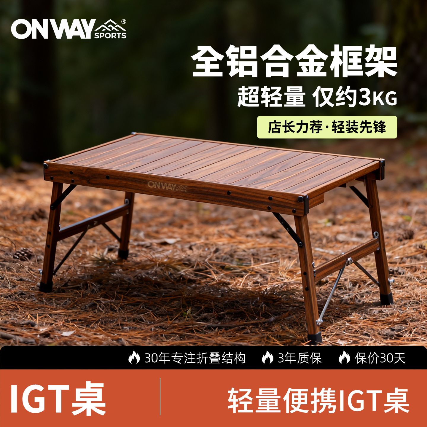 IGT桌户外露营OnwaySports