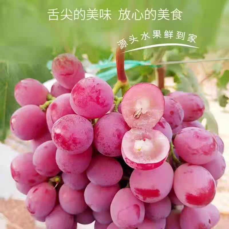 自产自销提子葡萄红提现摘现发