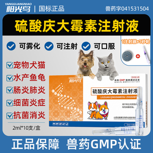兽药兽用宠物硫酸庆大霉素猫咪狗狗鱼乌龟鸽子肠炎拉稀口服消炎药