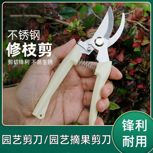 剪刀园艺剪修剪树枝园林果树专用剪子盆栽修枝修花枝花艺剪子