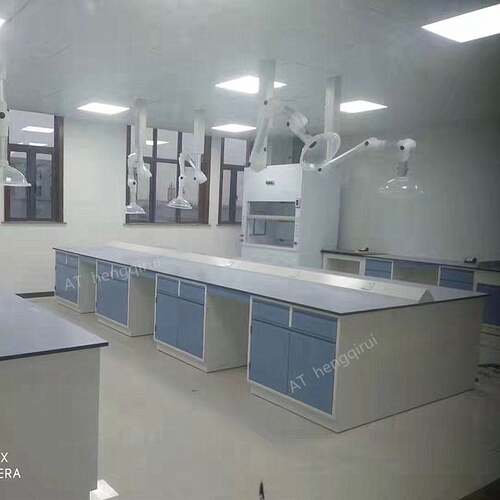 钢木实验台实验室专用工作台全钢边台化验室中央台通风柜PP水槽台