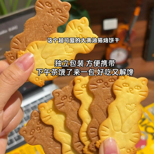 20包60片黄油猫酪饼干芝士味零食