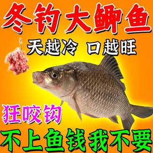 超诱红虫粉浓腥香通黑杀坑野钓专用天冬钓鲫鱼饵料 鲫鱼饵料秋冬季