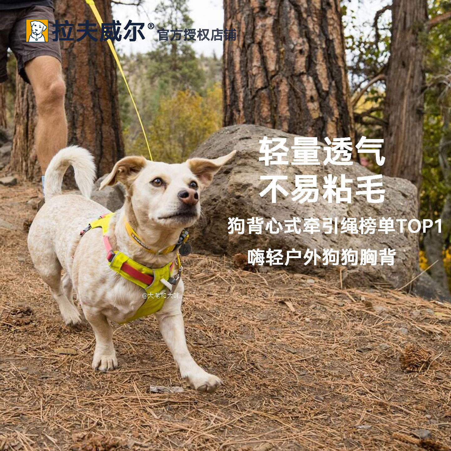 拉夫威尔嗨轻胸背带牵引式图片