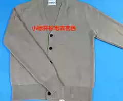 Small Label Cardigan Sweater Apricot Color