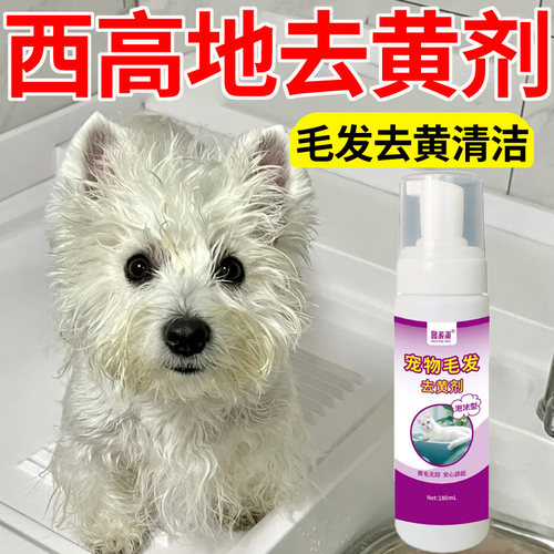 西高地毛发去黄清洁剂用免洗泡沫去黄去污毛发增白免水洗清洁用品