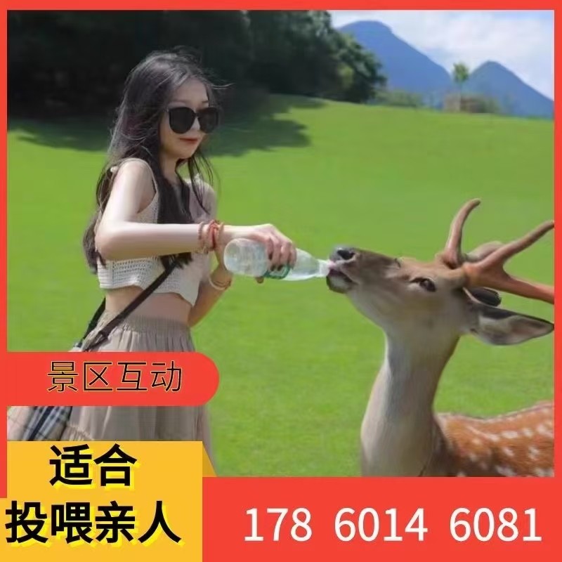 景区互动亲人梅花鹿养殖技术服务梅花鹿幼崽小鹿人工养殖技术,畜牧/养殖物资,畜牧/养殖技术服务,淘宝优惠券,粉丝福利购,淘宝优惠卷