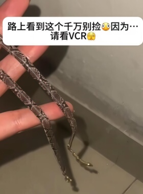 蛇纹小众甜酷辣妹锁骨链