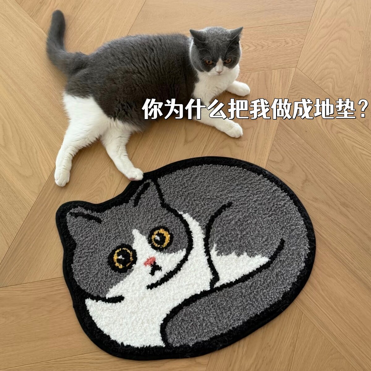 来图定制！英短猫咪造型防滑地垫图片