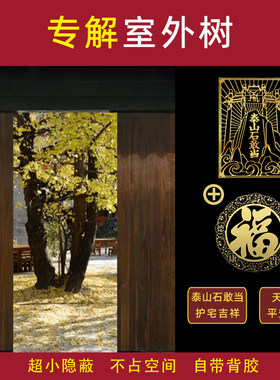 大门前有树化解窗户房子屋外大院入户门电杆线杆变压器葫芦窗大树