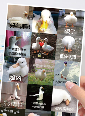 120贴可爱鸭鸭表情包贴纸搞怪趣味装饰手账手机壳桌面文具diy贴画