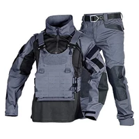 Серый костюм сражений [верхний + брюки]