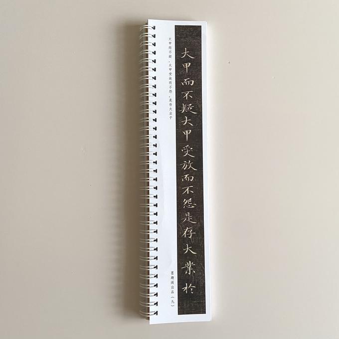 成亲王成亲王书乐毅论近距离临摹字帖6008