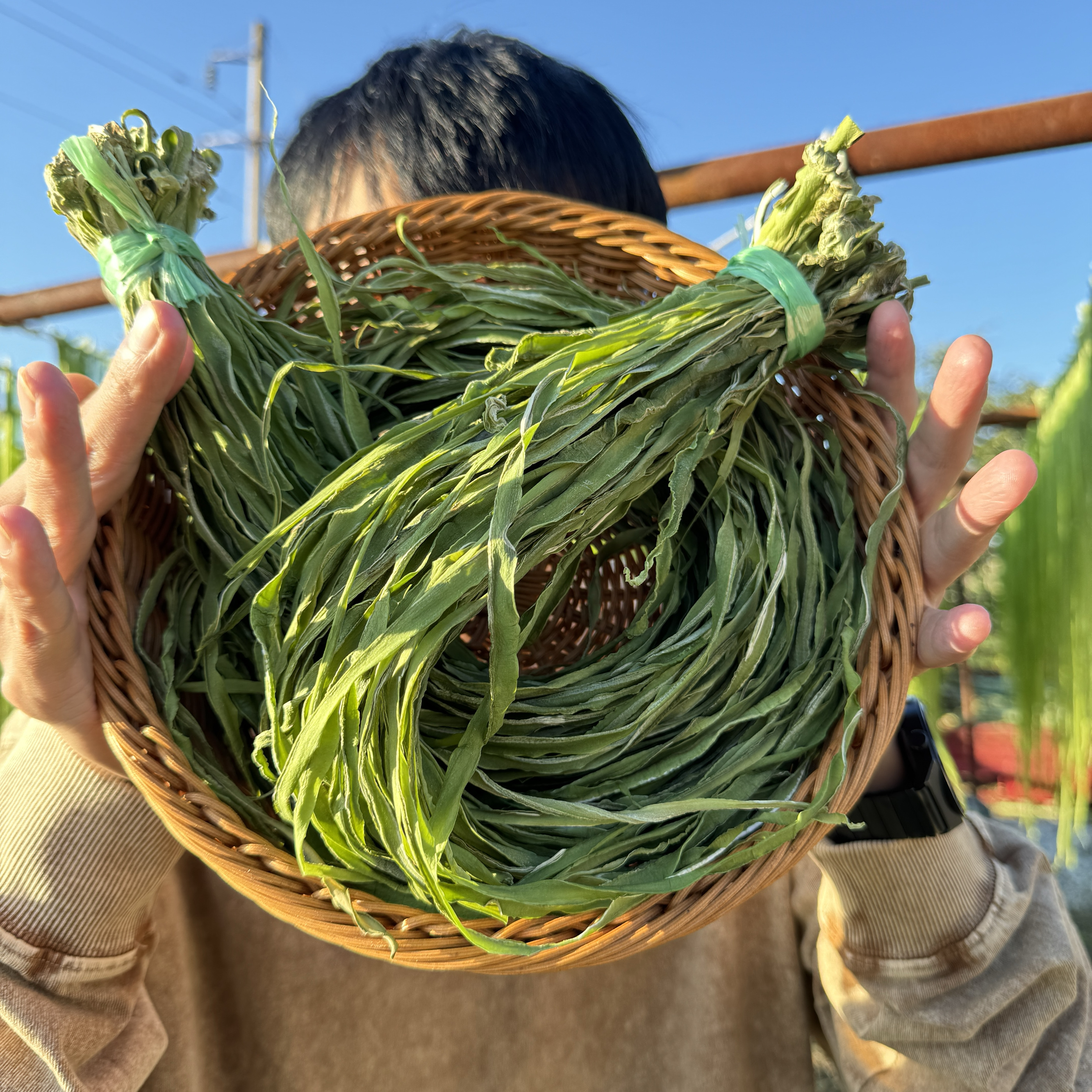 2025年云南新鲜贡菜干优选新鲜贡菜苔干苔菜脱水蔬菜火锅食材