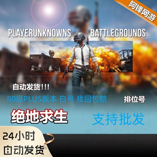 绝地求生排位号 PUBG排位号 80级升级Plus版本的 找回包赔 白号
