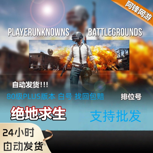 绝地求生排位号80级排位号