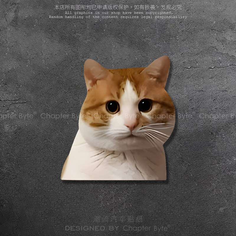 圆眼萌猫表情包汽车装饰贴