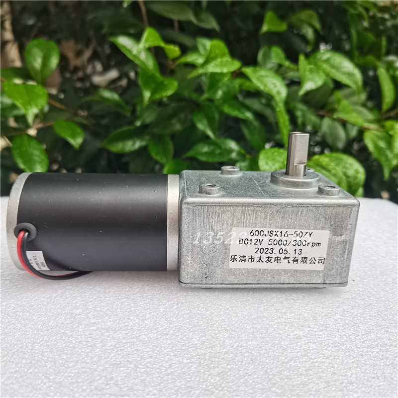 600JSX16-50ZY 5000/295/300RPM 12V24V 5882GW电机