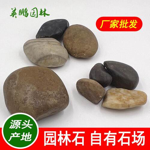 供应五彩雨花石鹅卵石庭院铺路石头多彩园艺园林景观装饰石