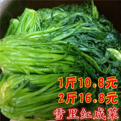 绿雪菜 雪里红咸菜优质新鲜雪里红腌制农家自制咸菜下饭菜2斤包邮