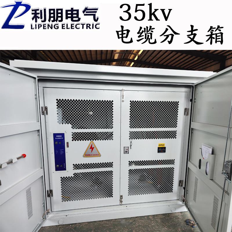 35KV母排线缆分接箱带PT35kv隔离开关柜DFW户外铜排电缆分支箱