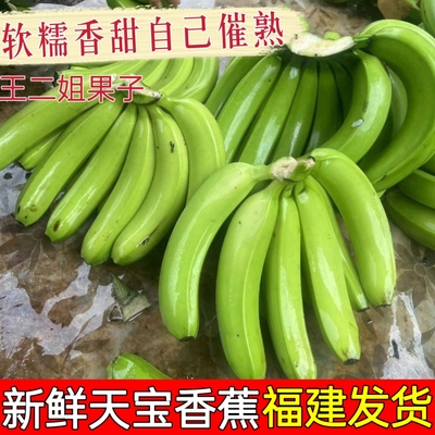 正宗纯天然福建漳州天宝香蕉当季新鲜水果孕妇现摘自然熟甜蕉青蕉