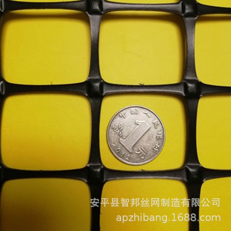 塑料土工格栅塑料网格养殖围栏网养鸡养鸭漏粪铺底网绿色垫网现货