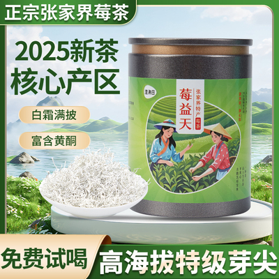 正宗张家界莓茶高品芽尖莓茶藤茶