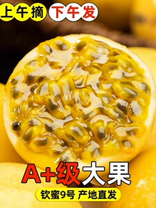 钦蜜9号黄金百香果新鲜大果5斤包邮一级黄晶果黄色白香整箱纯甜