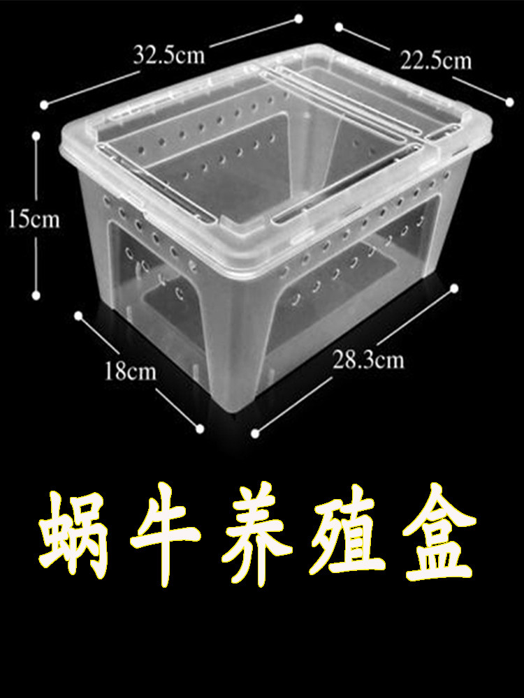 白玉蜗牛盒籽宠物小型动物房子窝透气大号带孔饲养箱养殖箱孵化盒