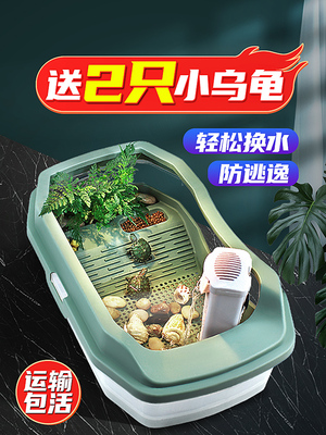 小乌龟活宠物观赏家养中华草龟珍珠巴西花龟小型好幼龟苗耐活体