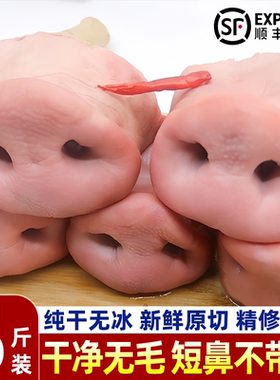 新鲜猪鼻子去骨猪拱嘴猪鼻尖批发