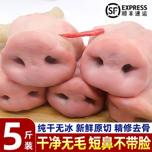 新鲜猪鼻子去骨猪拱嘴猪鼻子新鲜卤菜去骨猪鼻生鲜冷冻猪鼻尖批发