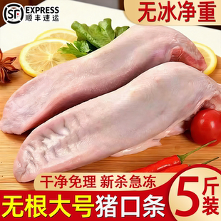 无根猪舌头新鲜猪口条不带根猪舌冷冻生猪肉土猪舌卤味食材批发