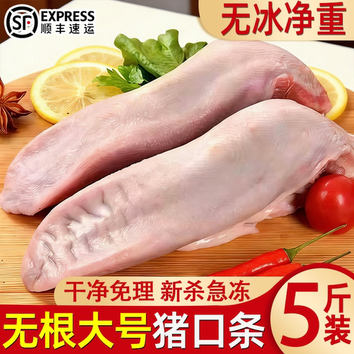5斤净重猪舌头无根口条