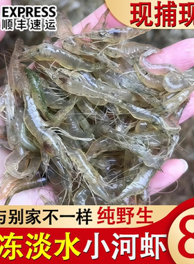 顺丰包邮小河虾去冰净重淡水野生