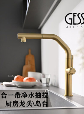 意大利GESSI磁吸三合一净水厨房龙头抽拉洗菜盆无铅水龙头冷热