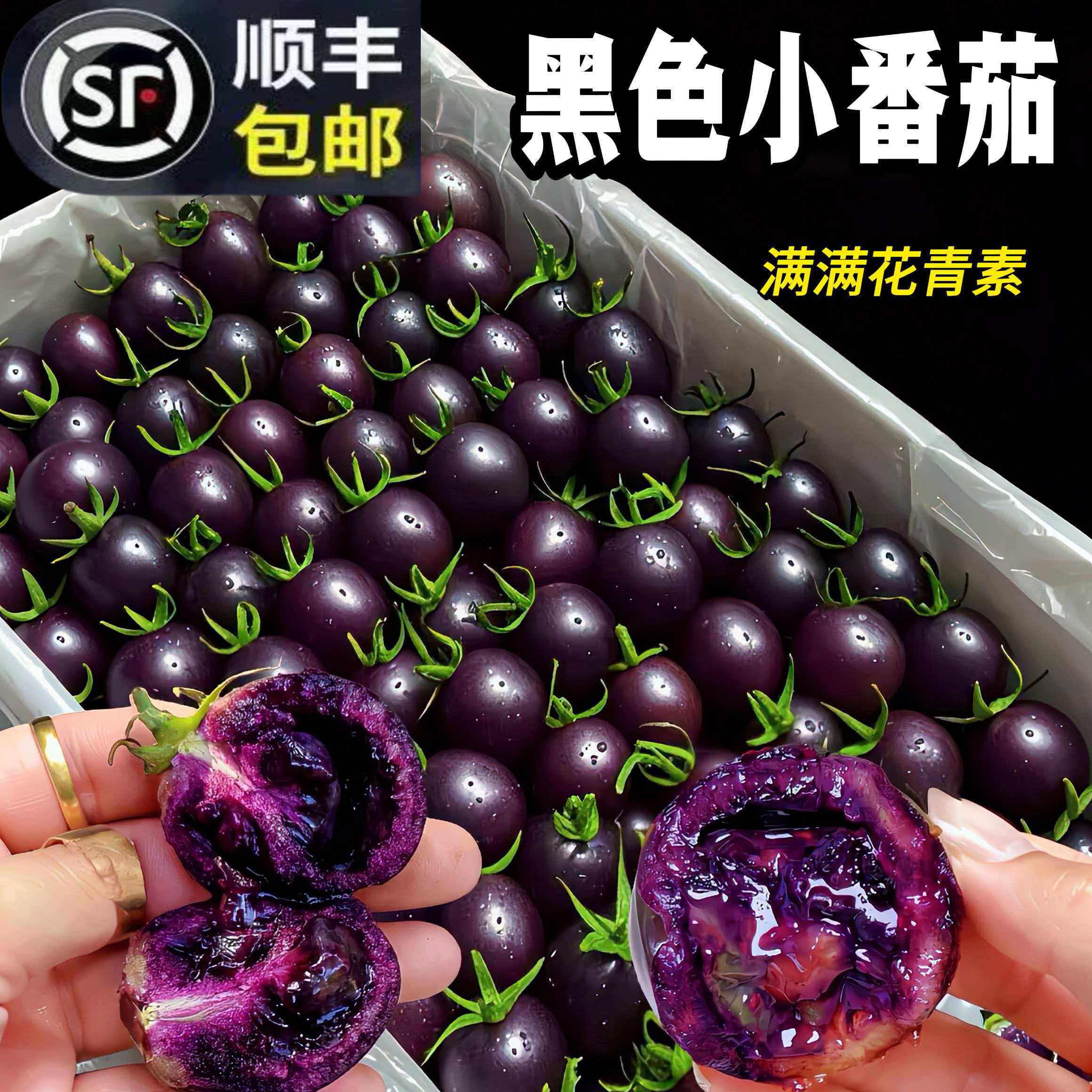 顺丰山东寿光蓝莓紫黑色小番茄新鲜生吃花青素水果黑玫瑰小柿子5