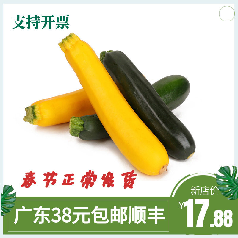 新鲜青黄节瓜500g沙拉蔬菜黄节瓜西餐食材青黄节瓜西葫芦