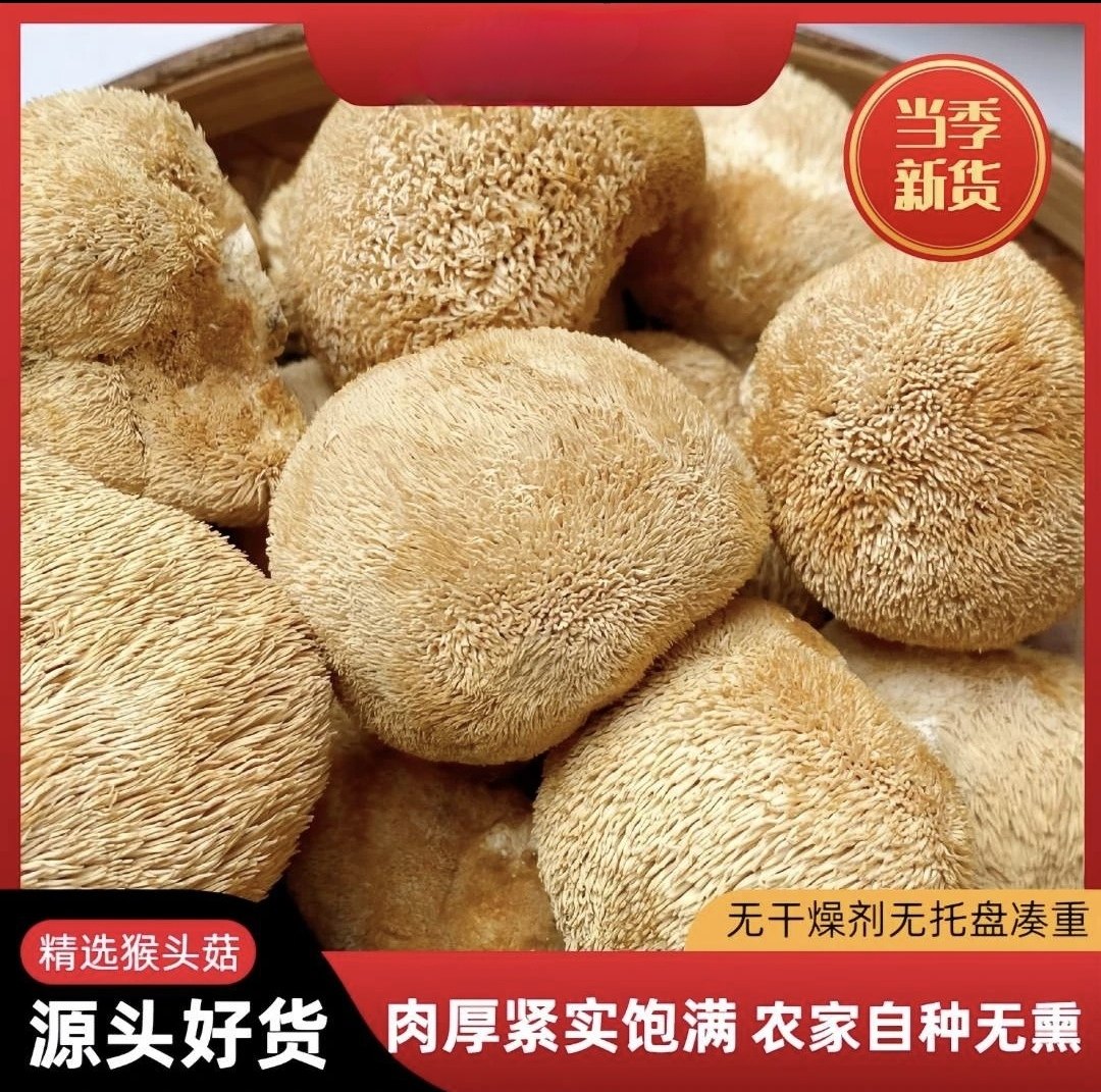 猴头菇养胃汤猴头菇干货 高山农家猴头菇煲汤食材养胃汤料