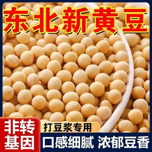 东北非转基因新黄豆5斤农家自种大豆黑豆生豆芽打豆浆专用